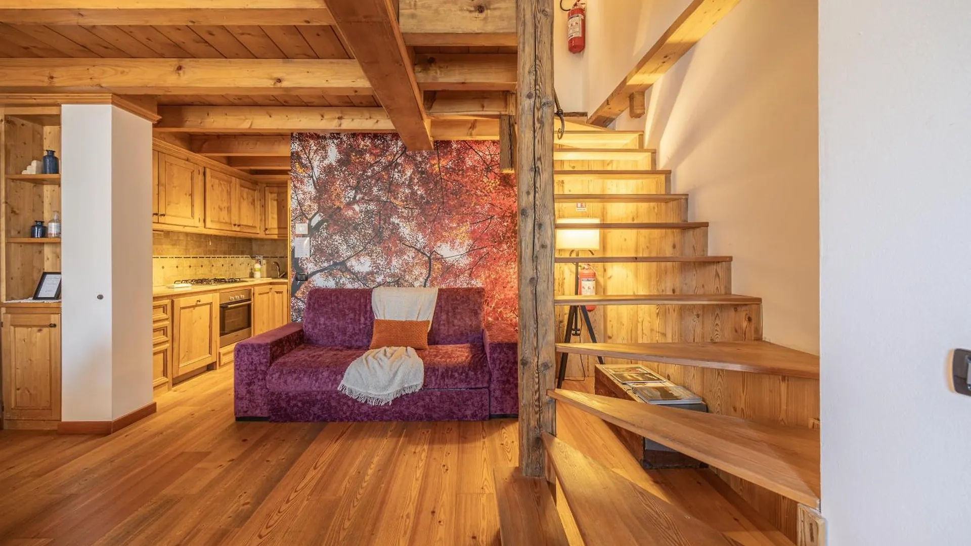Appartamento Ciandolada Wellness Vodo Cadore 0*,  Italia